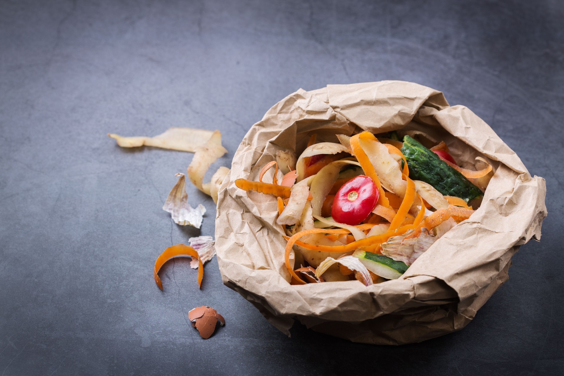 Kitchen leftovers for recycling and composting, garbage sorting, zero waste